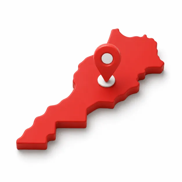 icone seo local maroc